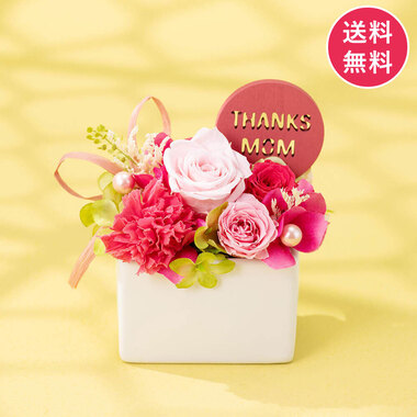 鉢植え 母の日 プリザーブドフラワー「THANKS MOM」