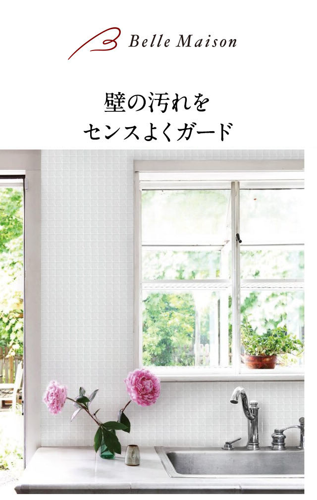 イメージ(1)