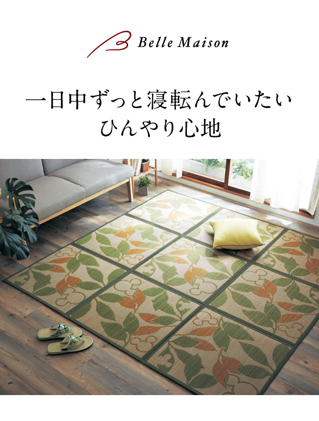 イメージ(1)