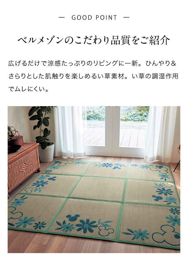 イメージ(2)