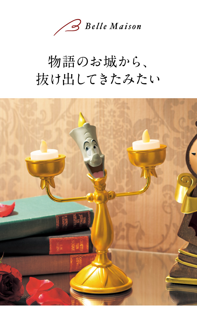 イメージ(1)