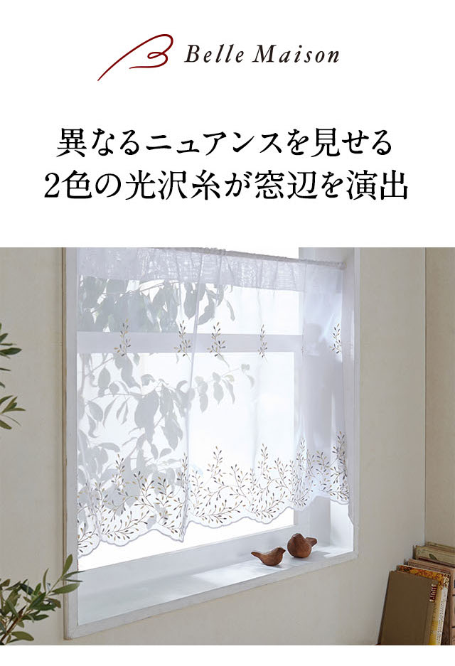 イメージ(1)